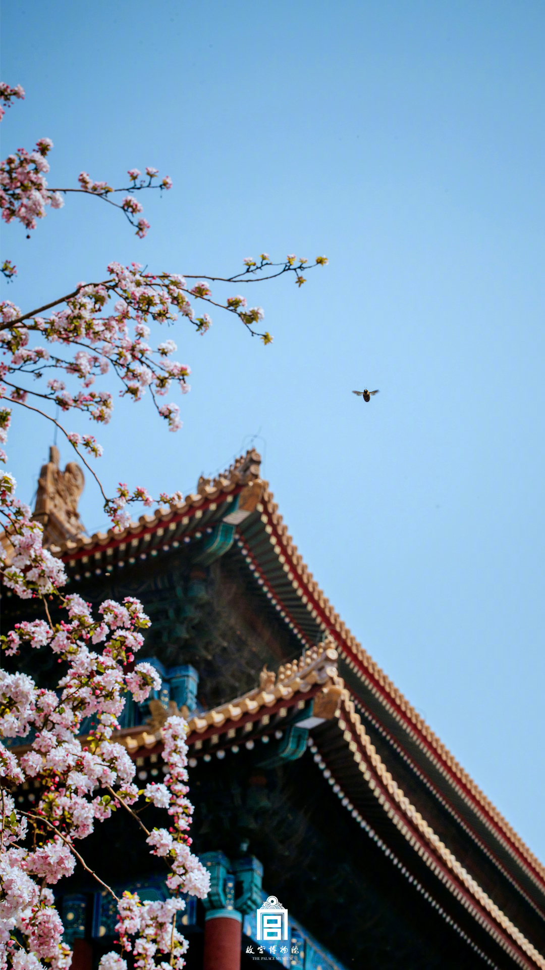 “澳门人的抗战”学术年会召开截图4