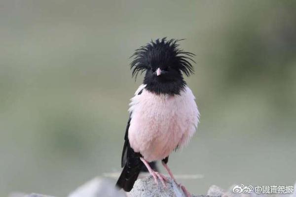 智慧“田保姆”助农惠农截图1