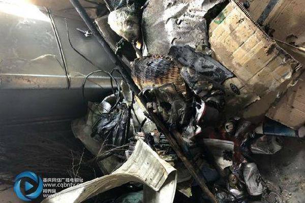 特色种植铺就致富路截图4