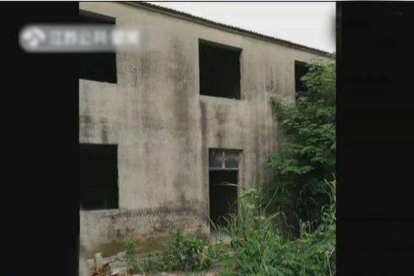 快穿宿主她又美又甜