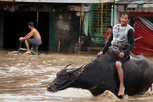 山水颜值为发展增值（话说新农村）截图1