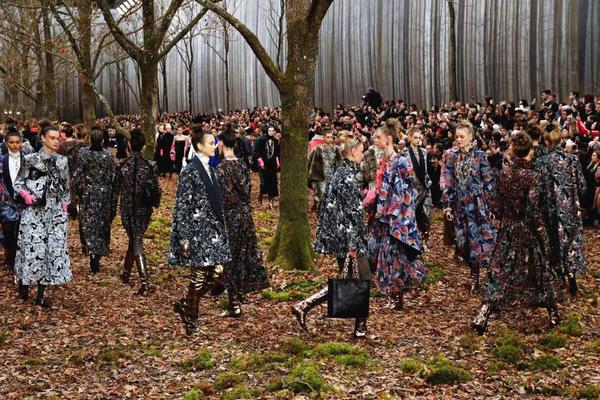 澳门特区政府完成2026年度施政报告意见收集截图4