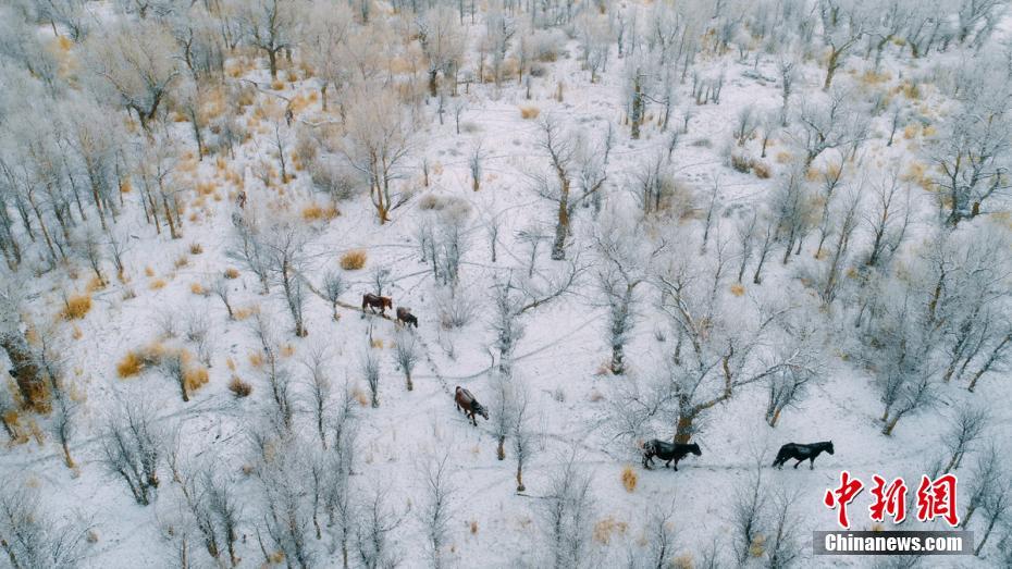 小山村“咖”位大截图3